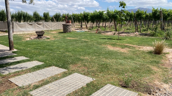 WhatsApp Image 2025-08-29 at 11.53.13 (1).jpeg